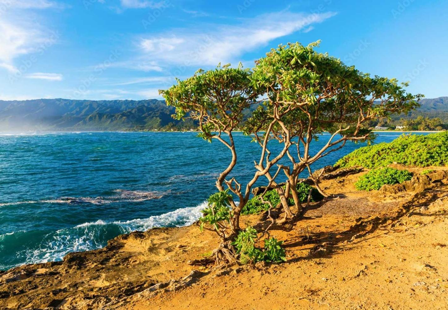 Naupaka Breeze Ocean View Ac 30 Day Stay Specials! Laie Εξωτερικό φωτογραφία